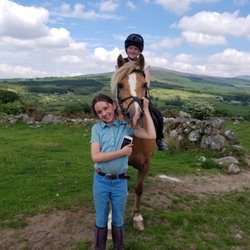 Hollywood Horse and Pony Trekking - Horse riding ireland