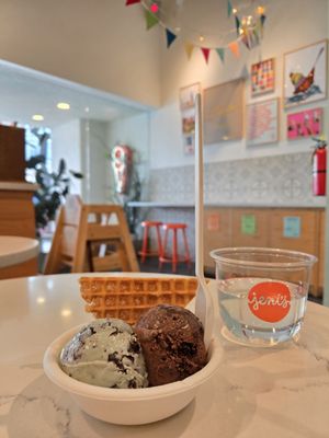 Jeni's Splendid Ice Creams by null