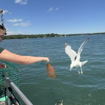 Lucky Catch Cruises - Boat Charters Near Me - Portland, Maine