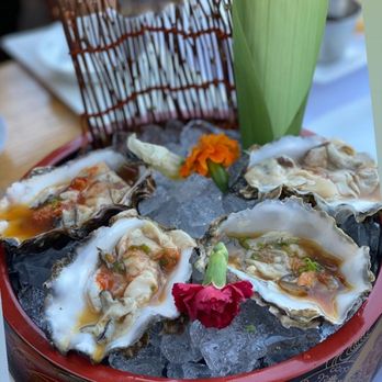 Studio Sushi - Pacific (fanny bay oysters) on half shell - Sushi Bars Near Me - Studio City, California Studio Sushi - Pacific (fanny bay oysters) on half shell - Sushi Bars Near Me - Studio City, California
