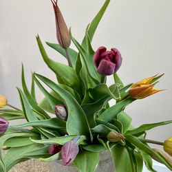 Mystical Meadows Boutique - Tulips