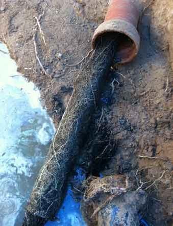 Slide of Just Plumbing Pro