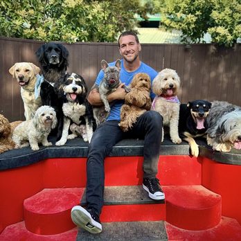 How Much Does Brandon Mcmillan Charge to Train a Dog: Expert Rates Revealed