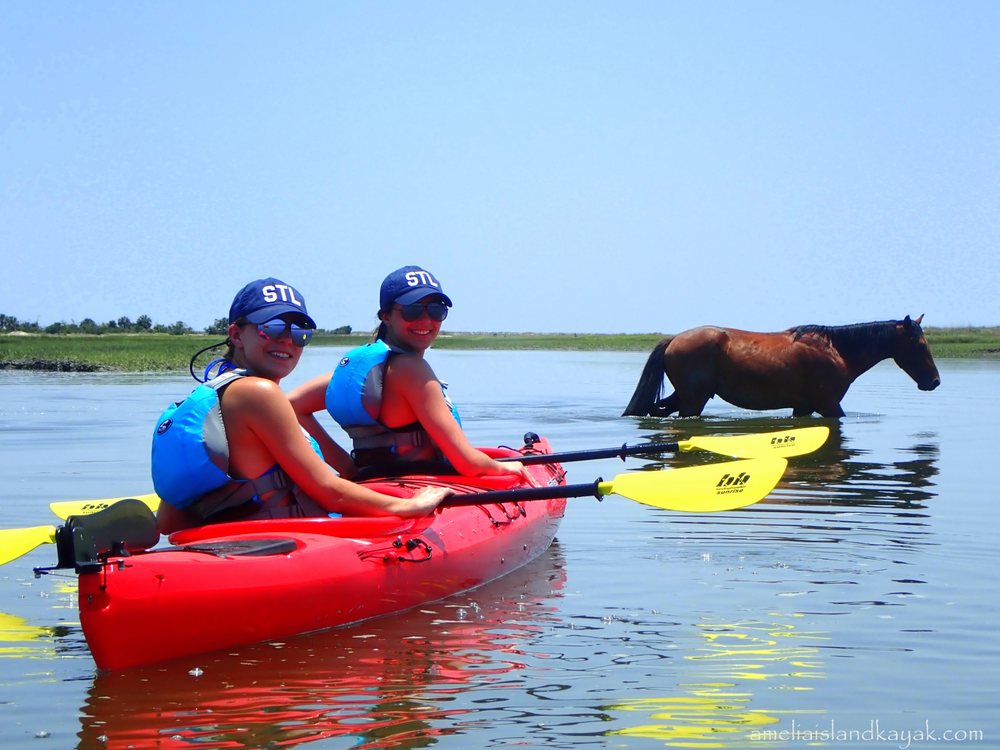 AMELIA ISLAND KAYAK EXCURSIONS Updated April 2024 107 Photos & 47 Reviews Fernandina Beach