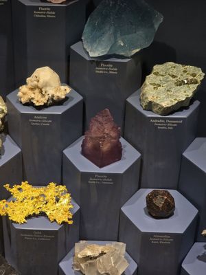 Lyman Museum by null