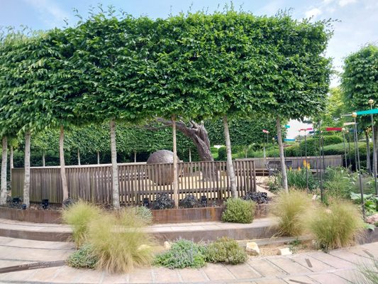 Shakespeare's New Place by null