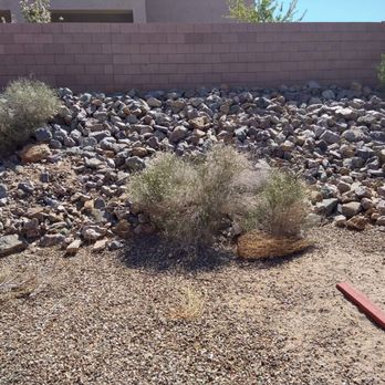 SoCo Landscape Maintenance - Before - back yard giant weeds - Landscaping Near Me