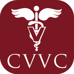 Cypress View Veterinary Clinic