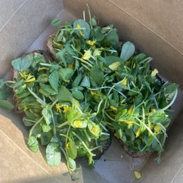 the avocado toast in their to go box the avocado toast in their to go box