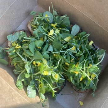 Cat & Cloud Coffee - the avocado toast in their to go box - Coffee & Tea Near Me - Santa Cruz, California Cat & Cloud Coffee - the avocado toast in their to go box - Coffee & Tea Near Me - Santa Cruz, California