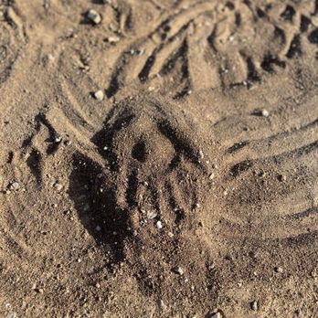 Journey's Rv Park - RV Parks Near Me - Temple, Texas Journey's Rv Park - RV Parks Near Me - Temple, Texas