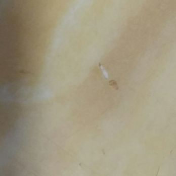 A-Star Buffet - MAGGOT at A STAR - Buffets Near Me - Fresno, California