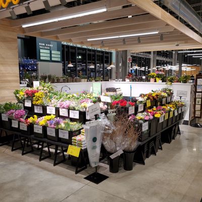 Whole Foods Market by null