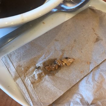 Panera Bread - Sandwiches Near Me - Pasadena, California