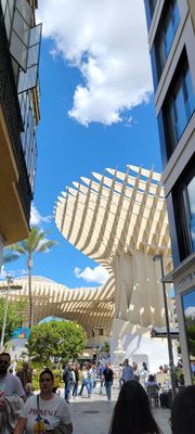 Setas de Sevilla by null