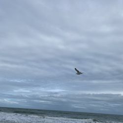 Town of Indialantic By The Sea