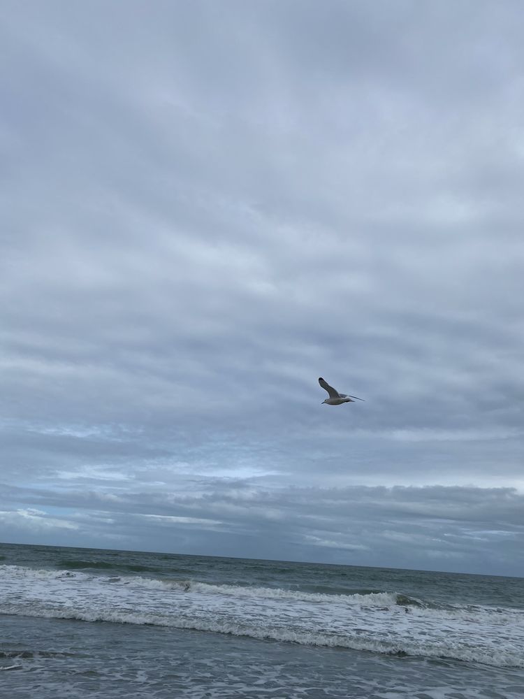 TOWN OF INDIALANTIC BY THE SEA 44 Photos 216 5th Ave, Indialantic