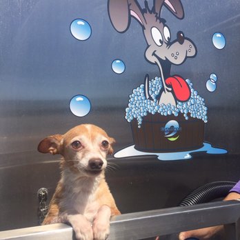 Sandy Paws Dog Wash - Pet Groomers Near Me - Huntington Beach, California Sandy Paws Dog Wash - Pet Groomers Near Me - Huntington Beach, California