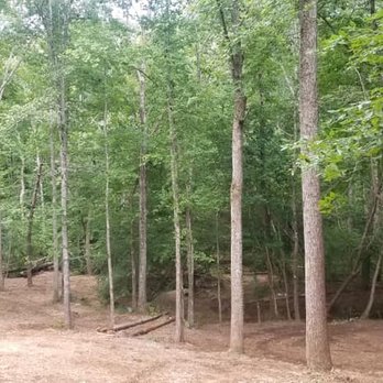 Wildcat Advanced Land Clearing - Selective land clearing - Tree Services Near Me - Spartanburg, South Carolina Wildcat Advanced Land Clearing - Selective land clearing - Tree Services Near Me - Spartanburg, South Carolina