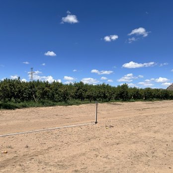 Apple Annie's Orchard - Farmers Market Near Me - Willcox, Arizona