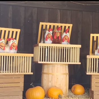 McCall Pumpkin Patch - Singing chicken show - Pumpkin Patches Near Me - Moriarty, New Mexico