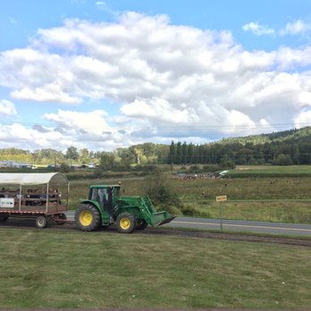 Bob's Corn & Pumpkin Farm - Pumpkin Patches Near Me - Snohomish, Washington