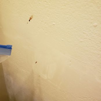Marina Village Inn - Stain on wall right next to the sink. - Hotels Near Me - Alameda, California Marina Village Inn - Stain on wall right next to the sink. - Hotels Near Me - Alameda, California