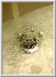 Slide of Wilson Plumbing & Heating