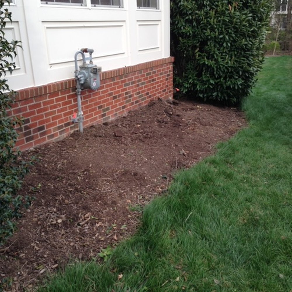 Cassella Design & Build - Side after old shrubs removed. - Landscaping Near Me - Springfield, Virginia Cassella Design & Build - Side after old shrubs removed. - Landscaping Near Me - Springfield, Virginia