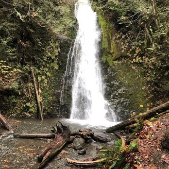 Evergreen Escapes - Tours Near Me - Seattle, Washington Evergreen Escapes - Tours Near Me - Seattle, Washington