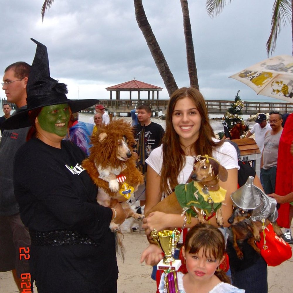 Fantasy Fest Pet Masquerade - Festivals Near Me - Key West, Florida Fantasy Fest Pet Masquerade - Festivals Near Me - Key West, Florida