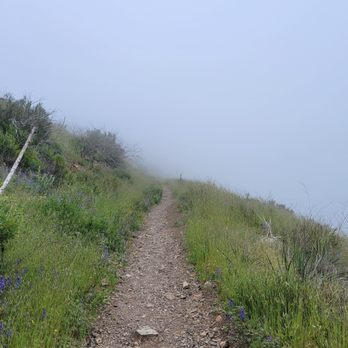 Bedford Peak Trail - Hiking Near Me - Trabuco, California