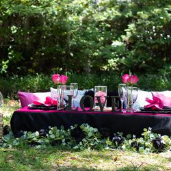 Intimate Picnics , Forsyth Park , Savannah GA