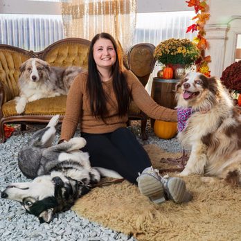 Pivotal Dog Training - Pet Training Near Me Pivotal Dog Training - Pet Training Near Me