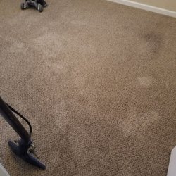 New Season Carpet Care
