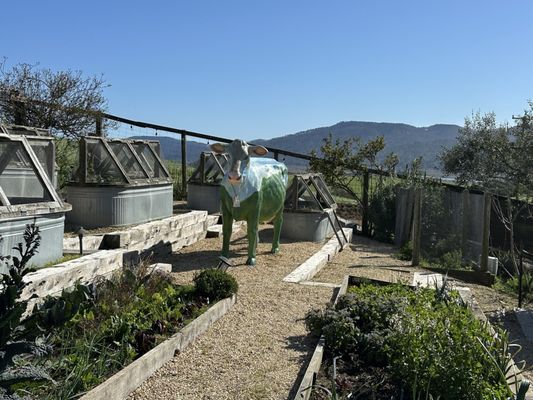 Point Reyes Farmstead Cheese Co by null