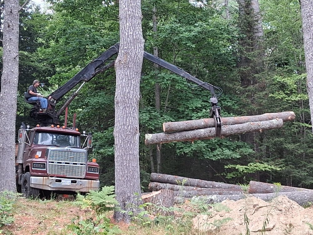 Holland & Betts - tree service in Bangor, ME