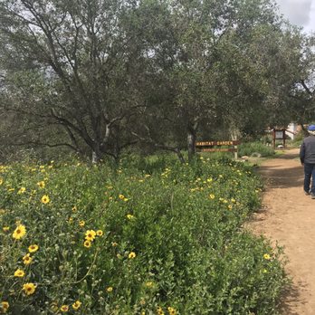 Los Jilgueros Preserve - Parks Near Me - Fallbrook, California Los Jilgueros Preserve - Parks Near Me - Fallbrook, California