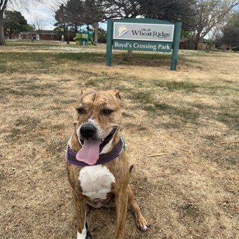 Boyd’s Crossing - Dog - Parks Near Me - Wheat Ridge, Colorado Boyd’s Crossing - Dog - Parks Near Me - Wheat Ridge, Colorado