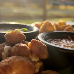 Adopted Dog Brewing - Yummy Cheese curd sampler