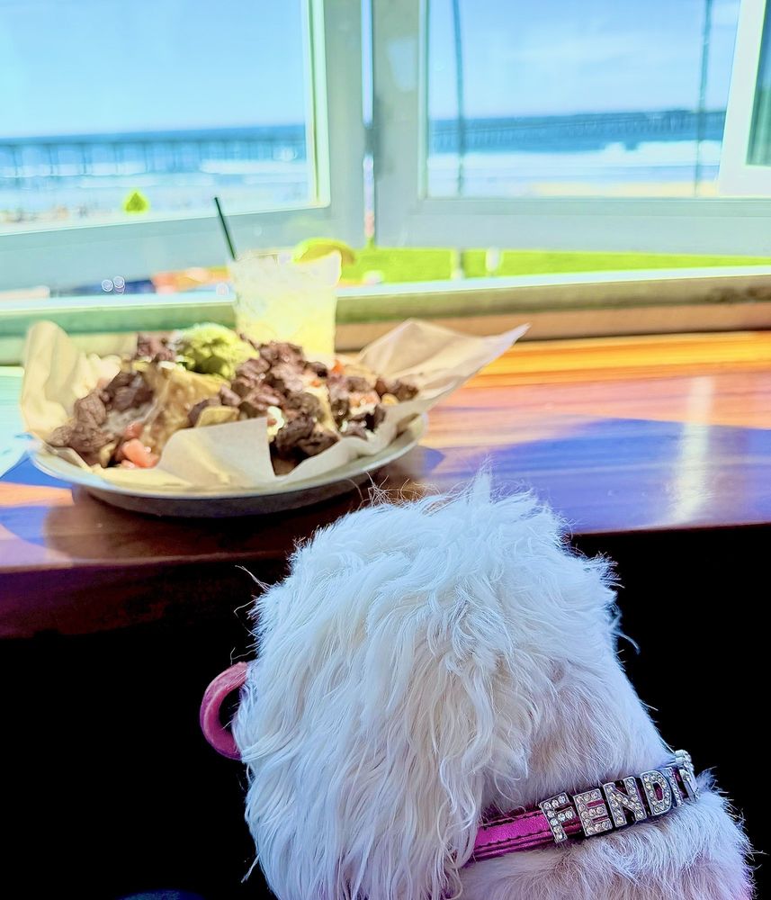 Wonderland Ocean Pub — Ocean Beach