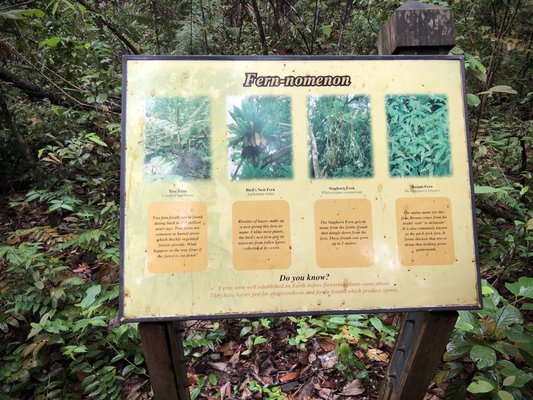 Lower Peirce Reservoir Park by null