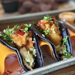 Taco Rock - Falls Church - They have a wide selection of fish tacos!