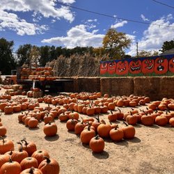 Rocky Mountain Pumpkin Ranch Inc