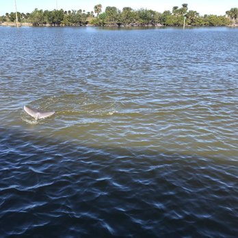 Wildside Tours - Boating Near Me - Cocoa Beach, Florida