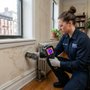 NYC Mold Removal Services