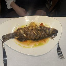 Branzino Branzino