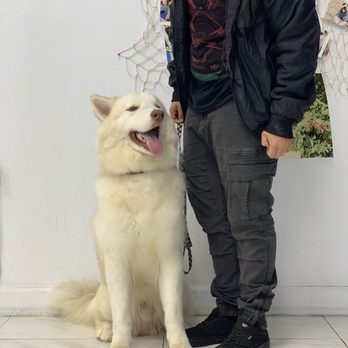 Magic Groomer - A shower, make over - Pet Sitting Near Me - Arcadia, California