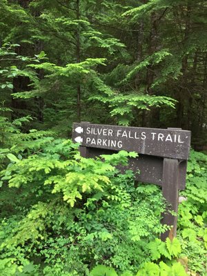 Ohanapecosh Campground by null