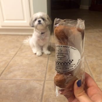 Three Brothers Bakery - Treats for the puppies too! I think carrot, pumpkin, and peanut butter. - Bakeries Near Me - Houston, Texas Three Brothers Bakery - Treats for the puppies too! I think carrot, pumpkin, and peanut butter. - Bakeries Near Me - Houston, Texas